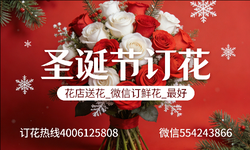 ���ݻ���������